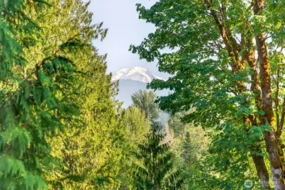 11062 Whistler Lane, Deming, WA 98244 - Photo 36