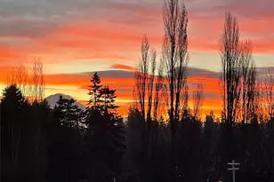 8603 Woodland Ave E, Puyallup, WA 98371 - Photo 38