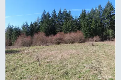 107 Avery Road, Napavine, WA 98565 - Photo 28