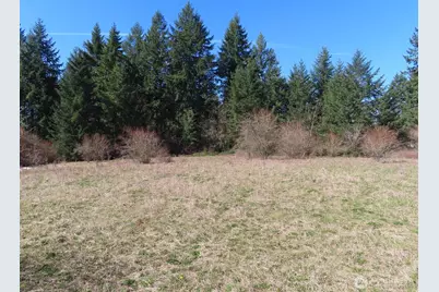 107 Avery Road, Napavine, WA 98565 - Photo 18