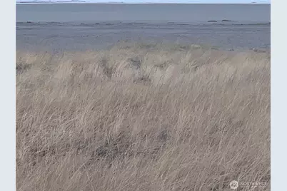 909 Washington Avenue S #8, Long Beach, WA 98631 - Photo 12