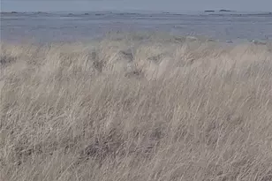 909 Washington Ave S, Long Beach, WA 98631 - Photo 12