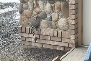 37855 Skyview Ct N, Creston, WA 99147 - Photo 32