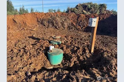 380 Hawkins Road, Winlock, WA 98596 - Photo 6