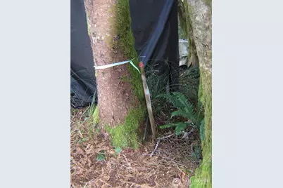 1704 320th Place, Ocean Park, WA 98640 - Photo 8