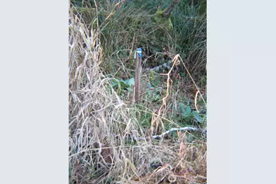 1704 320th Place, Ocean Park, WA 98640 - Photo 4