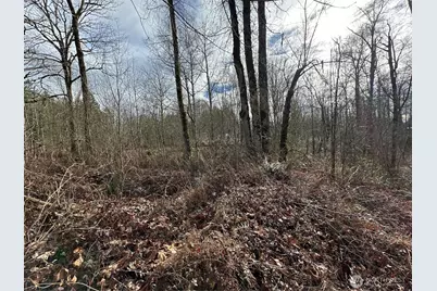 22 Xxx 212th Avenue SE, Maple Valley, WA 98038 - Photo 18