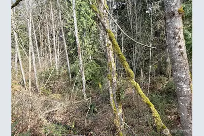 22 Xxx 212th Avenue SE, Maple Valley, WA 98038 - Photo 10