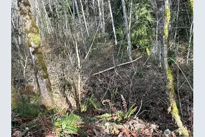 22 Xxx 212th Avenue SE, Maple Valley, WA 98038 - Photo 26