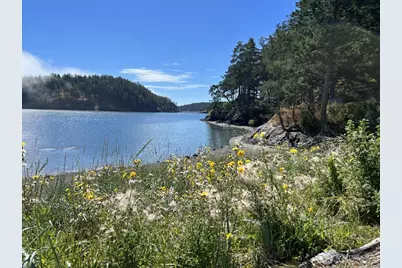 153 Chinook Way, Center Island, WA 98221 - Photo 34