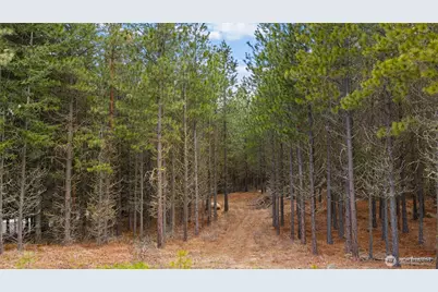 191 White Star Lane, Cle Elum, WA 98922 - Photo 12