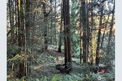 5662 Center Road, Chimacum, WA 98325 - Photo 12