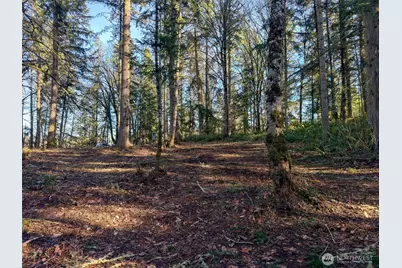 5662 Center Road, Chimacum, WA 98325 - Photo 14