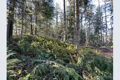 5662 Center Road, Chimacum, WA 98325 - Photo 22