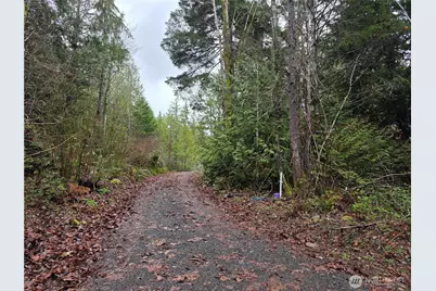 311130 Highway 101, Brinnon, WA 98320 - Photo 8