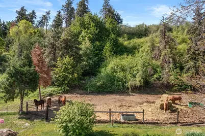 4693 Valley Street, Cashmere, WA 98815 - Photo 32