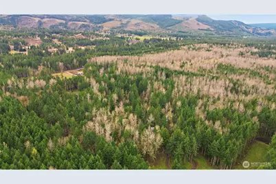 14645 164th Lane SE, Rainier, WA 98576 - Photo 8