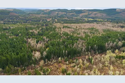 14645 164th Lane SE, Rainier, WA 98576 - Photo 6