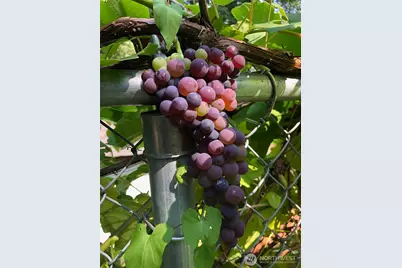 3616 W Arsenal Way, Bremerton, WA 98312 - Photo 28