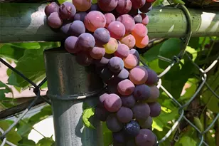 3616 W Arsenal Way, Bremerton, WA 98312 - Photo 28