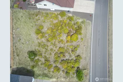 1037 Ocean Shores Boulevard SW, Ocean Shores, WA 98569 - Photo 2