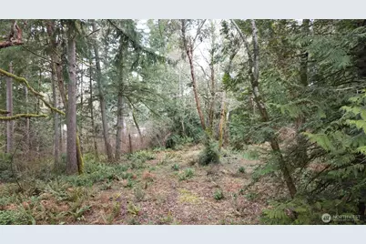 8900 Adams Lane NW, Olympia, WA 98502 - Photo 4