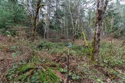 8900 Adams Lane NW, Olympia, WA 98502 - Photo 1