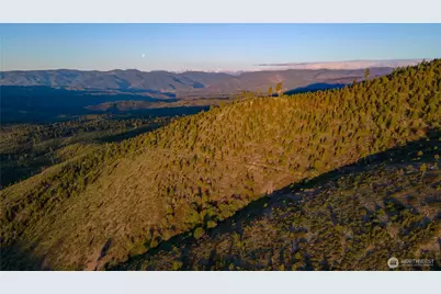2 Usfs 5350, Chelan, WA 98816 - Photo 2