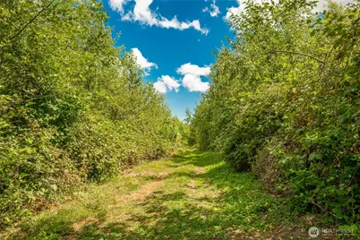 0 Sunrise Road, Custer, WA 98240 - Photo 6