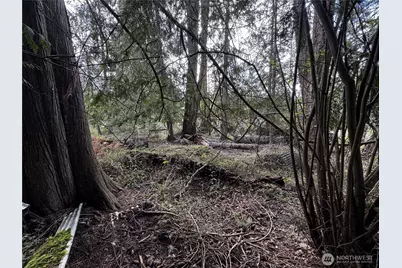 9810 Channel Drive NW, Olympia, WA 98502 - Photo 6