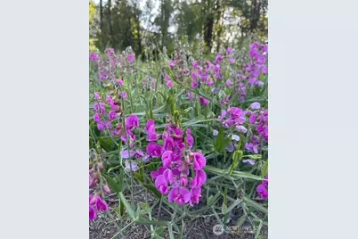 235304 Hwy 101, Port Angeles, WA 98363 - Photo 40