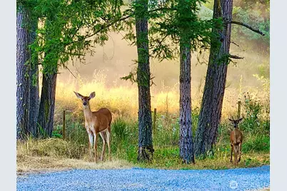 6814 300th Street S, Roy, WA 98580 - Photo 18