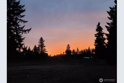 6814 300th Street S, Roy, WA 98580 - Photo 34