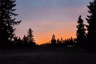 6814 300th St S, Roy, WA 98580 - Photo 34