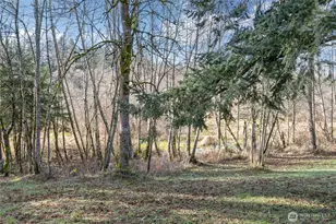 6814 300th St S, Roy, WA 98580 - Photo 30