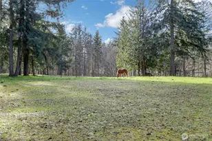6814 300th St S, Roy, WA 98580 - Photo 26