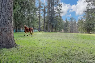 6814 300th St S, Roy, WA 98580 - Photo 24