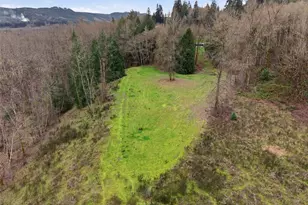 4053 Westside Hwy, Castle Rock, WA 98611 - Photo 38