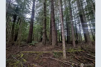 9991 Quillayute Road, Forks, WA 98331 - Photo 38