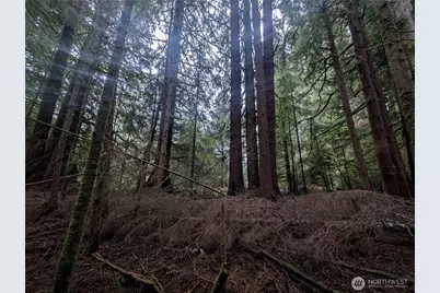 9991 Quillayute Road, Forks, WA 98331 - Photo 20