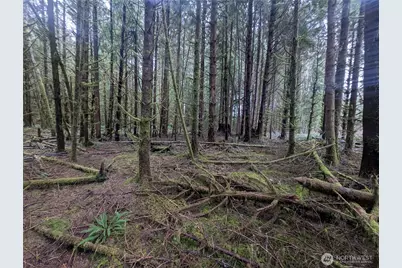 9991 Quillayute Road, Forks, WA 98331 - Photo 6
