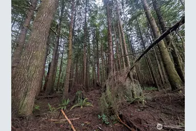 9991 Quillayute Road, Forks, WA 98331 - Photo 14