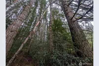 9991 Quillayute Road, Forks, WA 98331 - Photo 30