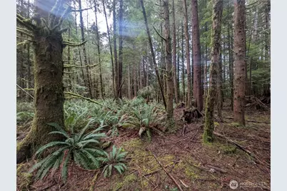 9991 Quillayute Road, Forks, WA 98331 - Photo 8