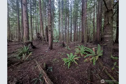 9991 Quillayute Road, Forks, WA 98331 - Photo 18