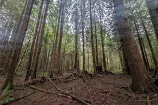 9991 Quillayute Rd, Forks, WA 98331 - Photo 1