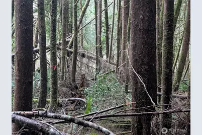 9991 Quillayute Road, Forks, WA 98331 - Photo 12