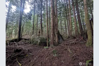 9991 Quillayute Road, Forks, WA 98331 - Photo 16