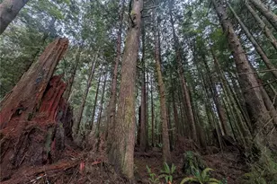 9991 Quillayute Rd, Forks, WA 98331 - Photo 1