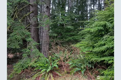 9991 Quillayute Road, Forks, WA 98331 - Photo 28